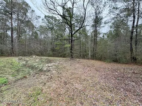 19438 Pete Hickman Rd, Saucier, MS 39574 photo 13