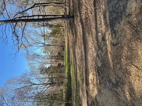 No Sunset Drive, Coldwater, MS 38618