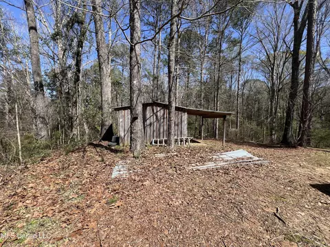 Exterior - 11772 Highway 35 North Cabin A Hwy, Forest, MS 39074 photo 3 of 9