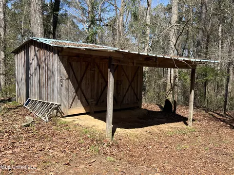 Exterior - 11772 Highway 35 North Cabin A Hwy, Forest, MS 39074 photo 4 of 9