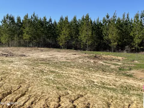 lot41 Freedom Ridge Ln, Brandon, MS 39047