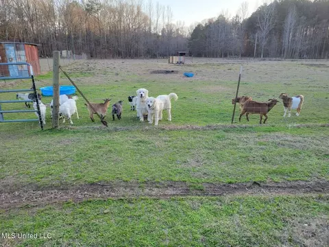 Other - 550 Highway 12, Sallis, MS 39160 photo 13 of 13