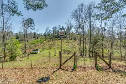Exterior - 550 Highway 12, Sallis, MS 39160 photo 3 of 7
