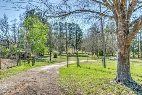 Exterior - 550 Highway 12, Sallis, MS 39160 photo 2 of 7