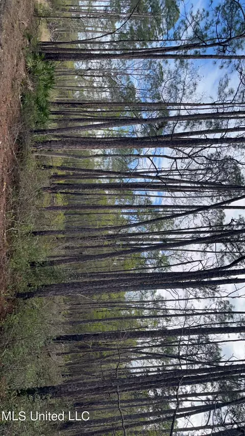 00 Oak St, Ocean Springs, MS 39564