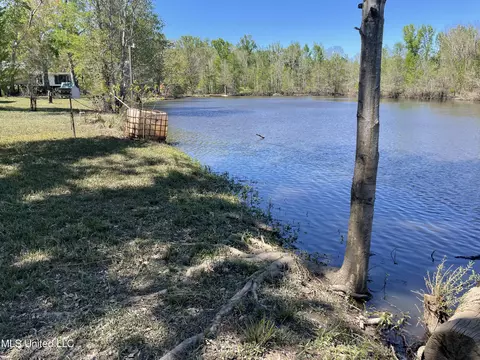 Mayhall Drive, Lucedale, MS 39452 photo 8
