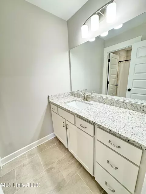 Bath - 240 Natchez Lp, Hernando, MS 38632 photo 5 of 5