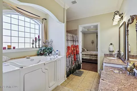 Bath - 114 Rowan Oak Pl, Terry, MS 39170 photo 2 of 8