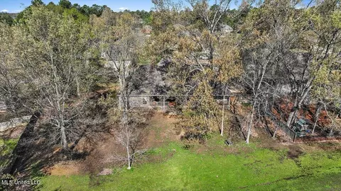 114 Hackberry Dr, Madison, MS 39110 photo 54