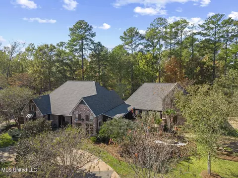 View/Area - 205 Covenant Xing, Flowood, MS 39232 photo 1 of 1