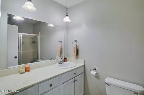Bath - 233 Stonecastle Dr, Brandon, MS 39047 photo 2 of 2