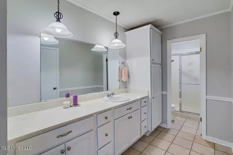 Bath - 233 Stonecastle Dr, Brandon, MS 39047 photo 1 of 2