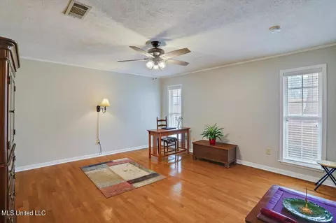 Living - 233 Stonecastle Dr, Brandon, MS 39047 photo 5 of 6