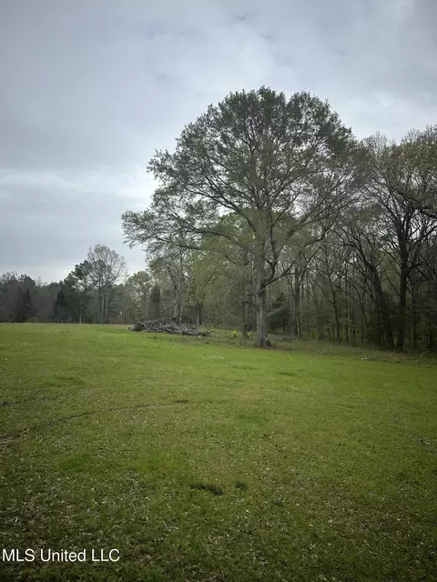 1550 Learned Rd, Raymond, MS 39154 photo 17