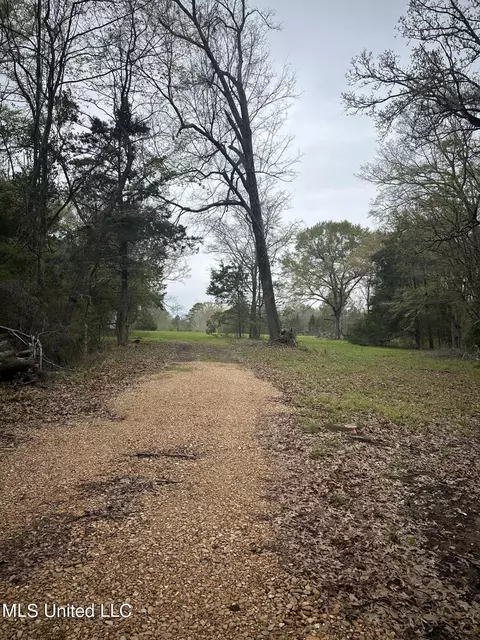 1550 Learned Rd, Raymond, MS 39154 photo 3