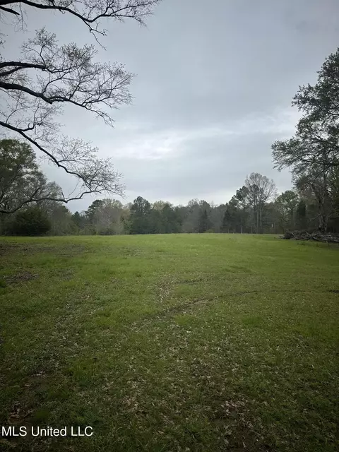 1550 Learned Rd, Raymond, MS 39154 photo 18
