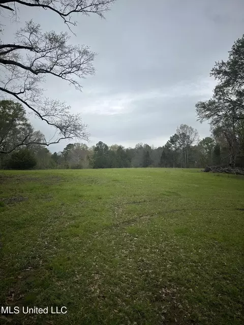 1550 Learned Rd, Raymond, MS 39154 photo 13