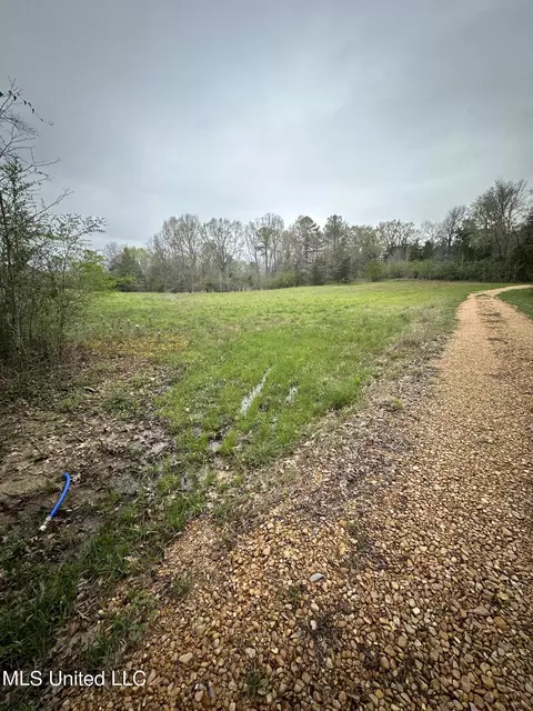 1550 Learned Rd, Raymond, MS 39154 photo 2
