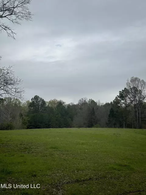 1550 Learned Rd, Raymond, MS 39154 photo 16