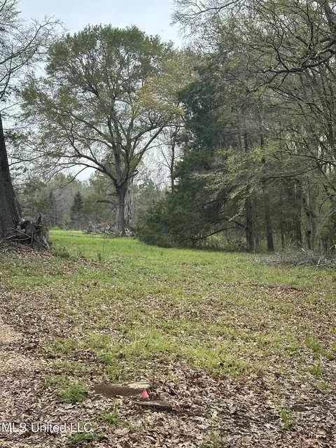 1550 Learned Rd, Raymond, MS 39154 photo 5