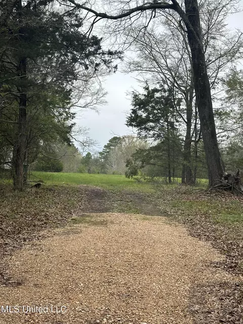 1550 Learned Rd, Raymond, MS 39154 photo 4
