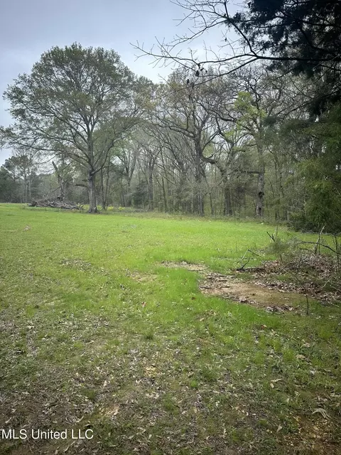 1550 Learned Rd, Raymond, MS 39154 photo 6