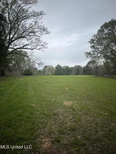 1550 Learned Rd, Raymond, MS 39154 photo 7