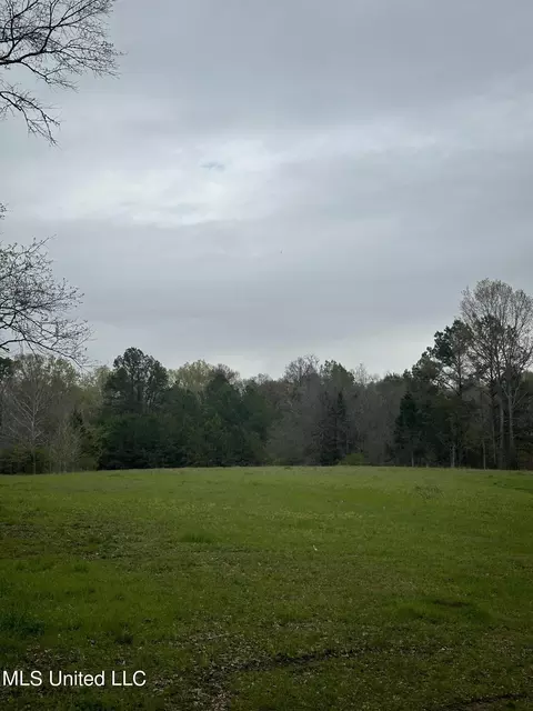 1550 Learned Rd, Raymond, MS 39154 photo 11