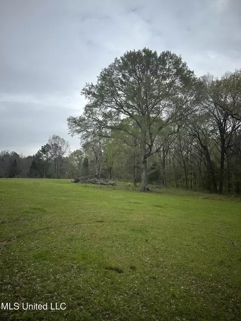 1550 Learned Rd, Raymond, MS 39154 photo 12