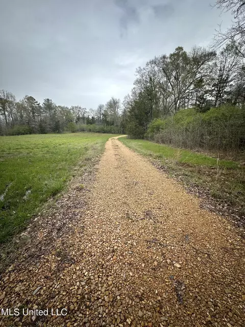 1550 Learned Rd, Raymond, MS 39154 photo 19
