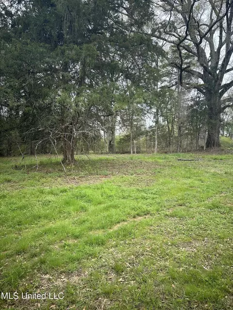 1550 Learned Rd, Raymond, MS 39154 photo 15