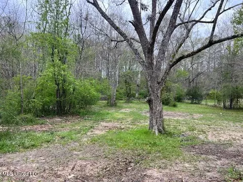 176 Oak Hill Dr, Florence, MS 39073 photo 28