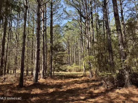 Dewey-grace Road, De Kalb, MS 39328