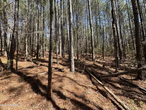 Dewey-grace Road, De Kalb, MS 39328 photo 11