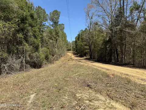 Dewey-grace Road, De Kalb, MS 39328 photo 7
