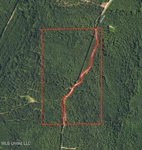 Dewey-grace Road, De Kalb, MS 39328 photo 2