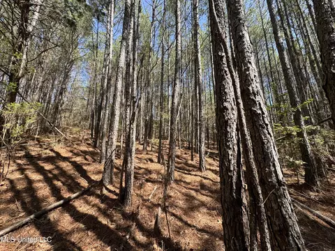 Dewey-grace Road, De Kalb, MS 39328 photo 10