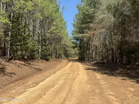 Dewey-grace Road, De Kalb, MS 39328 photo 13
