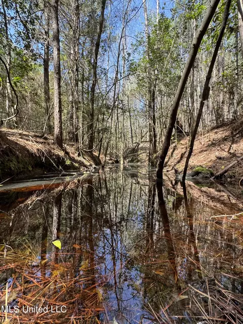 Dewey-grace Road, De Kalb, MS 39328 photo 15