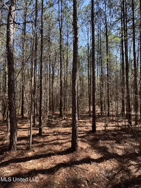 Dewey-grace Road, De Kalb, MS 39328 photo 6