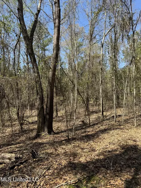 Dewey-grace Road, De Kalb, MS 39328 photo 8