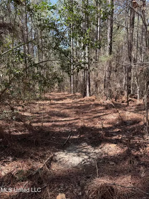 Dewey-grace Road, De Kalb, MS 39328 photo 5