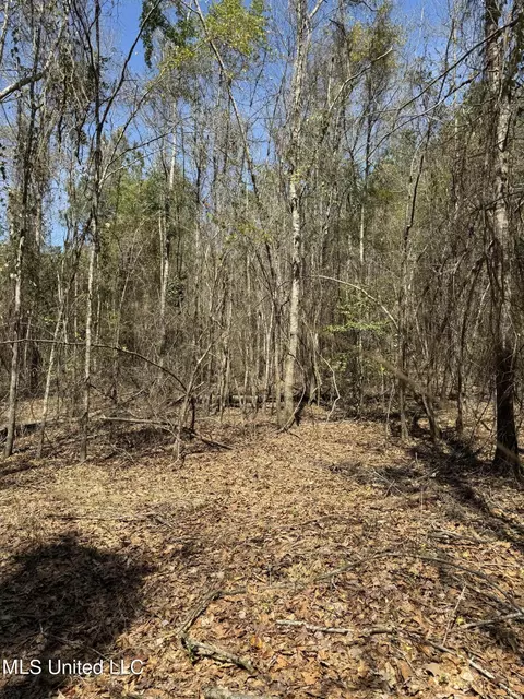 Dewey-grace Road, De Kalb, MS 39328 photo 9
