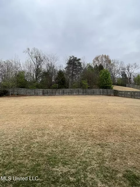 Exterior - 854 Shadow View Dr, Hernando, MS 38632 photo 3 of 6