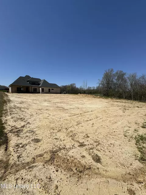 Exterior - 418 Oakworth Dr, Hernando, MS 38632 photo 4 of 8