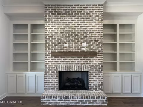 Other - 418 Oakworth Dr, Hernando, MS 38632 photo 2 of 25