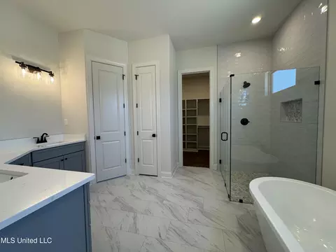 Bath - 418 Oakworth Dr, Hernando, MS 38632 photo 1 of 7