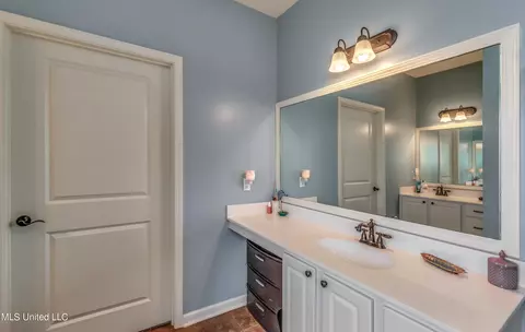 Bath - 405 Sand Stone Pl, Brandon, MS 39042 photo 3 of 8