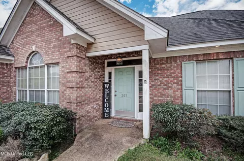 Exterior - 205 Cannon Ridge Dr, Brandon, MS 39042 photo 4 of 6
