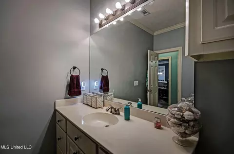 Bath - 205 Cannon Ridge Dr, Brandon, MS 39042 photo 2 of 5